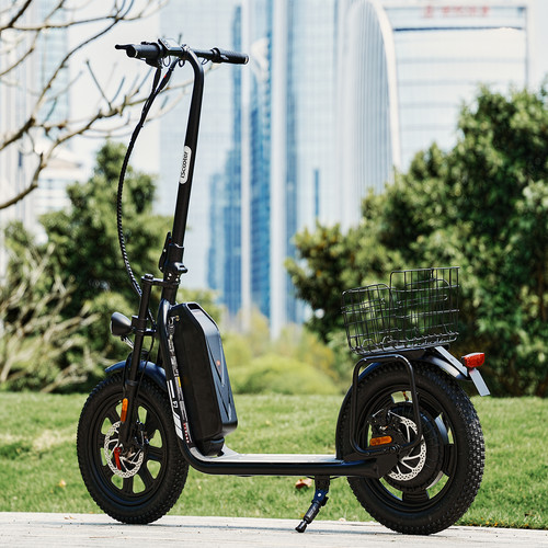 E-Scooter mit